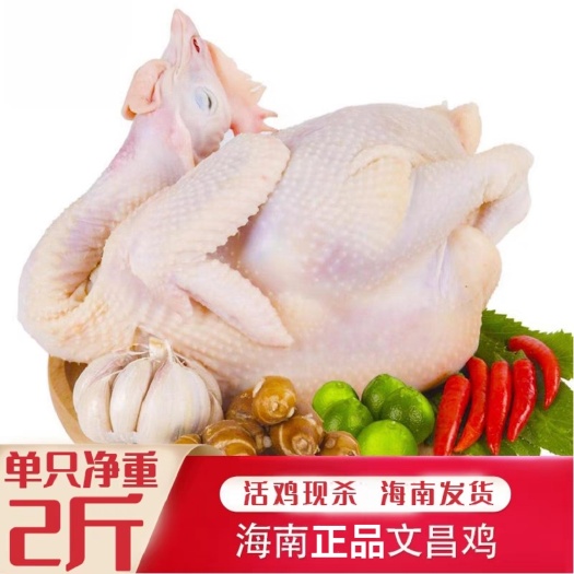 正品海南文昌鸡整只新鲜活鸡现杀椰子鸡散养土鸡 白切鸡肉