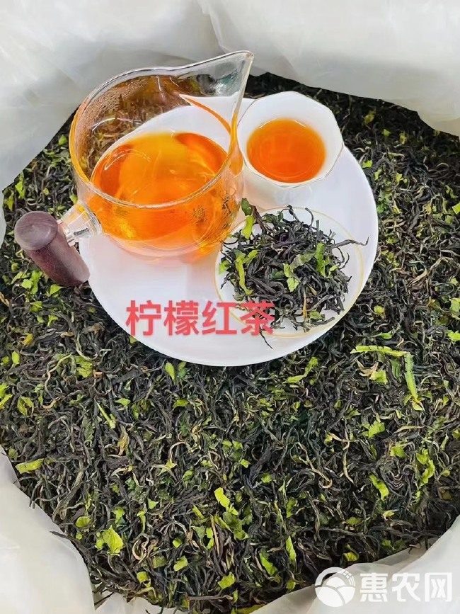 红茶柠檬红茶英红九号柠檬红茶批发零售英德红茶，