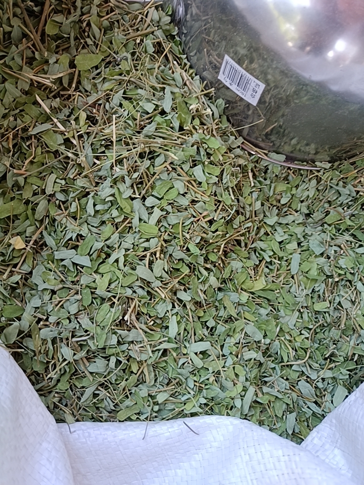 鸡骨草    小叶鸡骨草叶子       相思茶