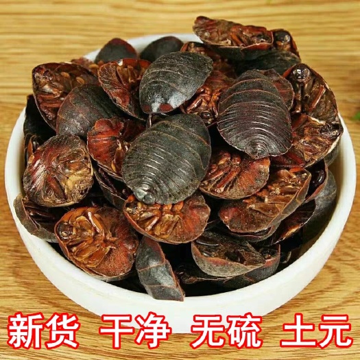 亳州土元中药材500克正品土元虫土元干土鳖虫土元粉地鳖