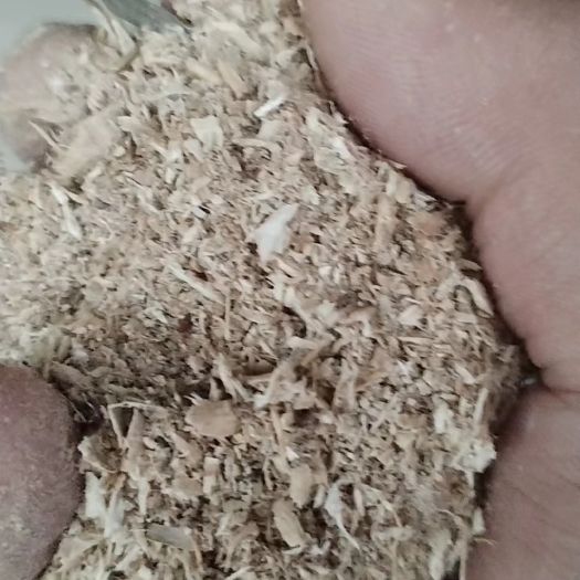 陇西县黄芪指甲片沫子