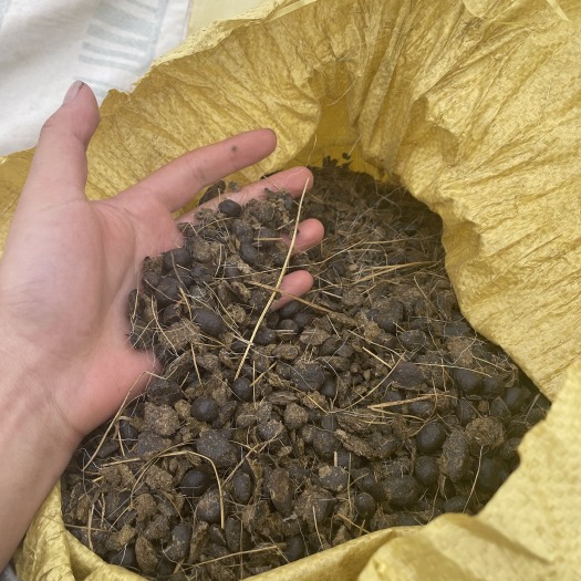 若尔盖县藏区纯羊粪有机肥