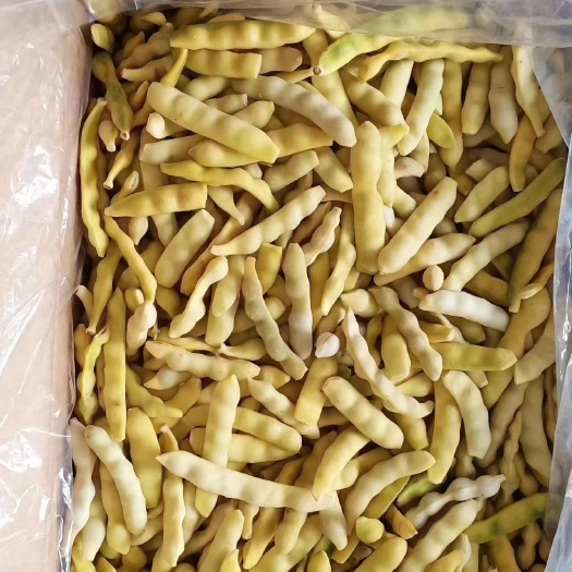 海林市速冻豆角（黄）