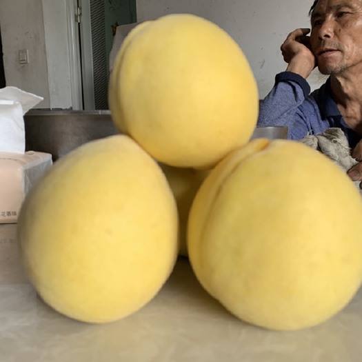 桂东县黄桃