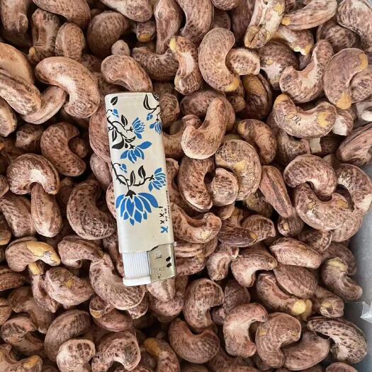 桂林腰果(紫)，东南亚产