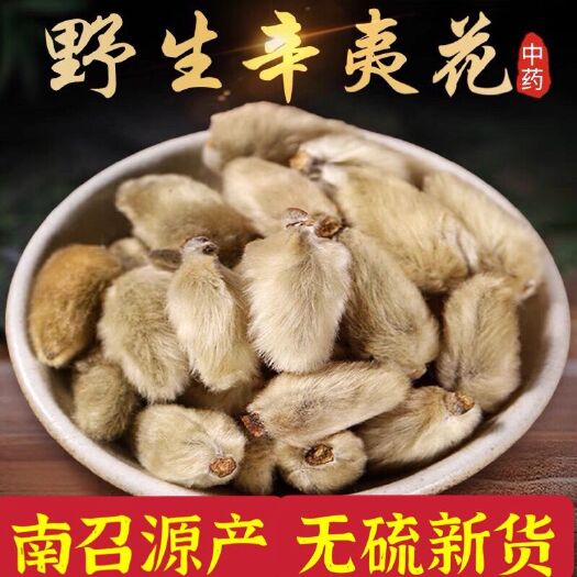 亳州毛桃 辛夷花 毛桃 辛夷花中药材