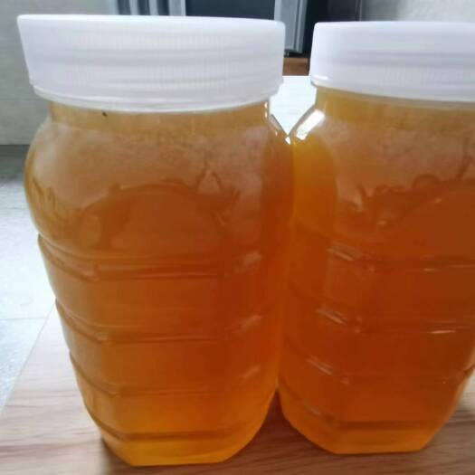 炎陵县土蜂蜜 散养土蜂