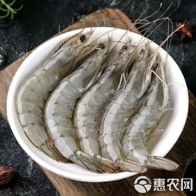 厄瓜多尔海水大虾全规格