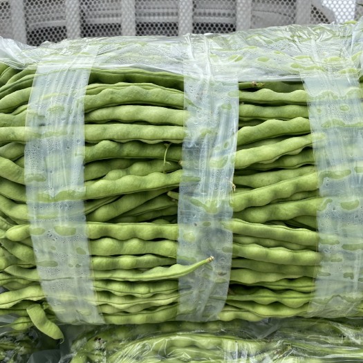 攀枝花大青豆，当季上市。品质保证