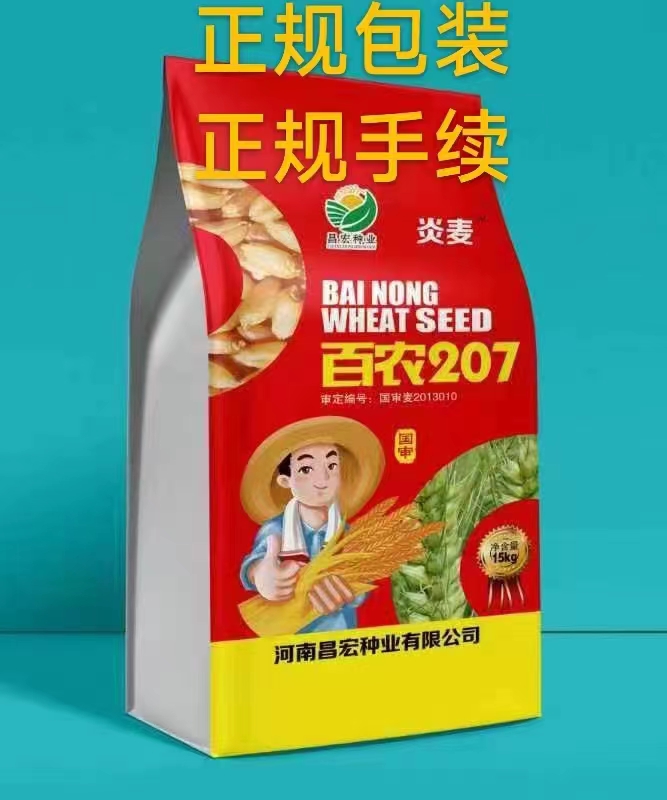 百农207 抗倒抗病抗倒春寒 穗大落黄好 耐冻耐寒耐盐碱！