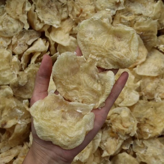 南澳县45头赤鱼肚，缅甸赤鱼肚，又叫成鱼胶，大个厚肉，数量不多
