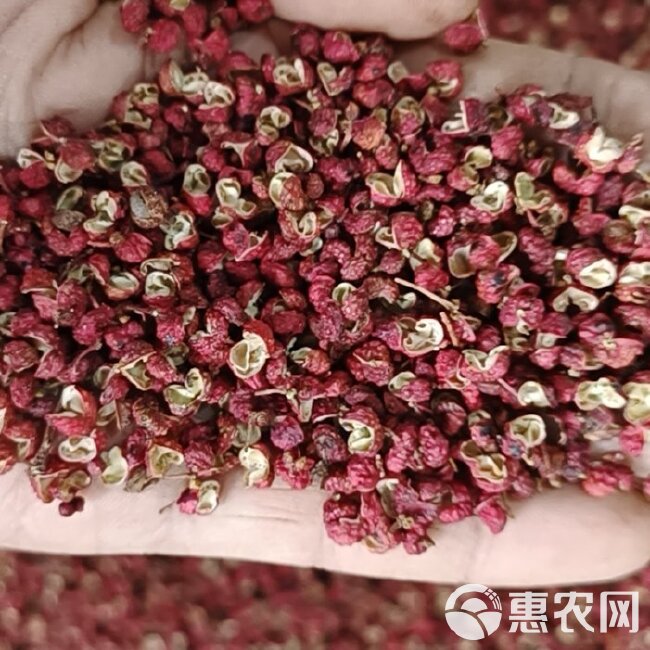 陕西韩城大红袍花椒产地一手货源直供.【色选包邮】开口97以上