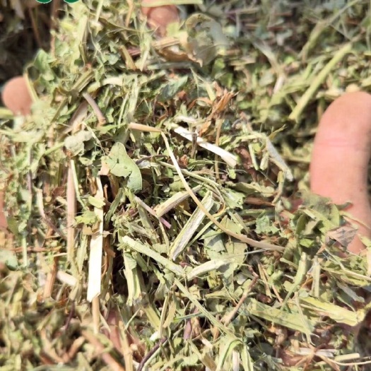 花生秧优质草