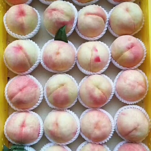 无锡阳山水蜜桃
