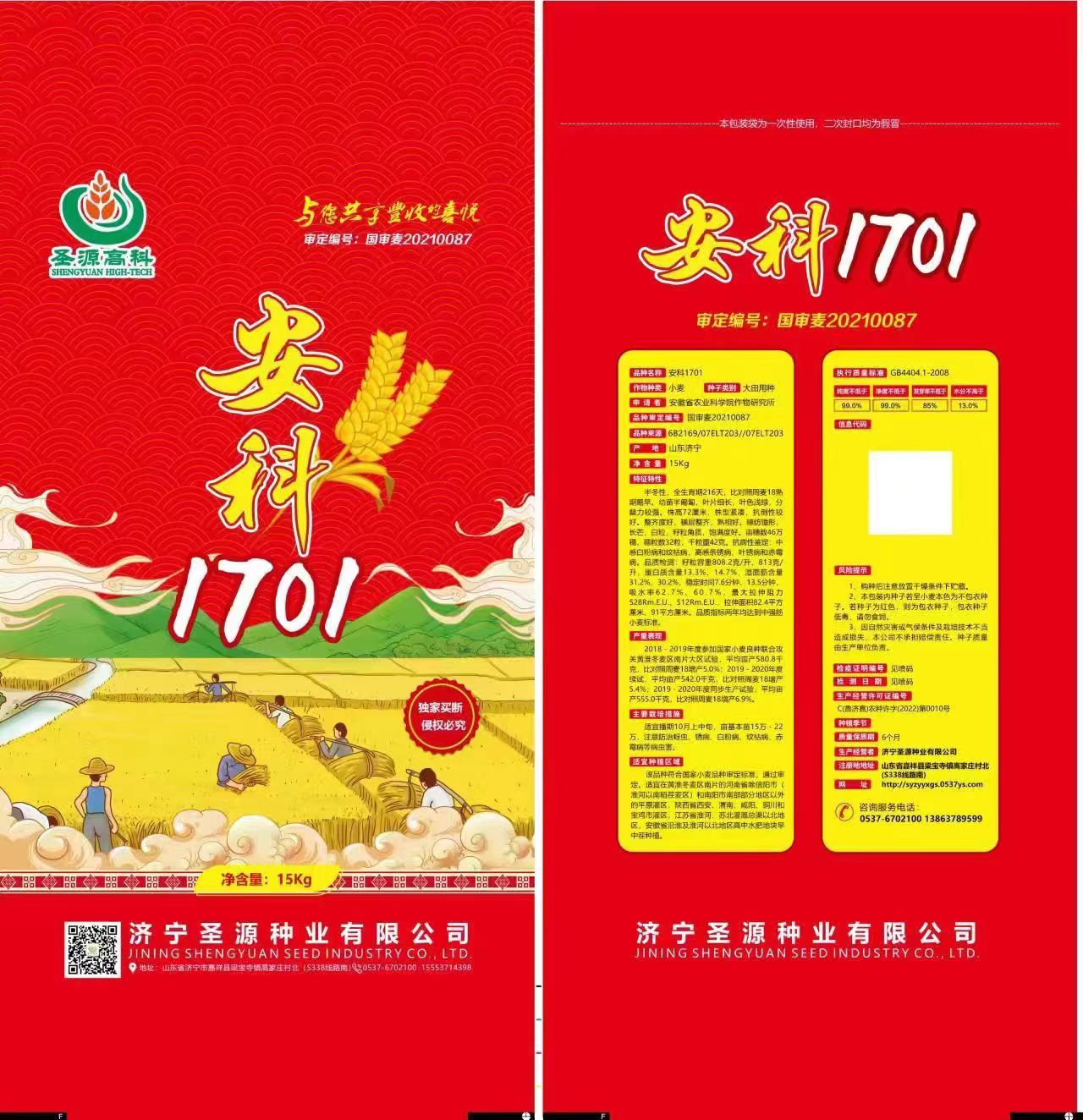 百农207 抗倒抗病抗倒春寒 穗大落黄好 耐冻耐寒耐盐碱！