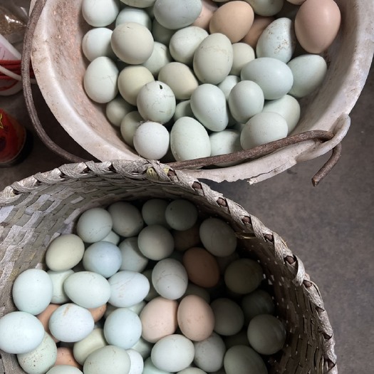 临沂绿壳乌鸡蛋