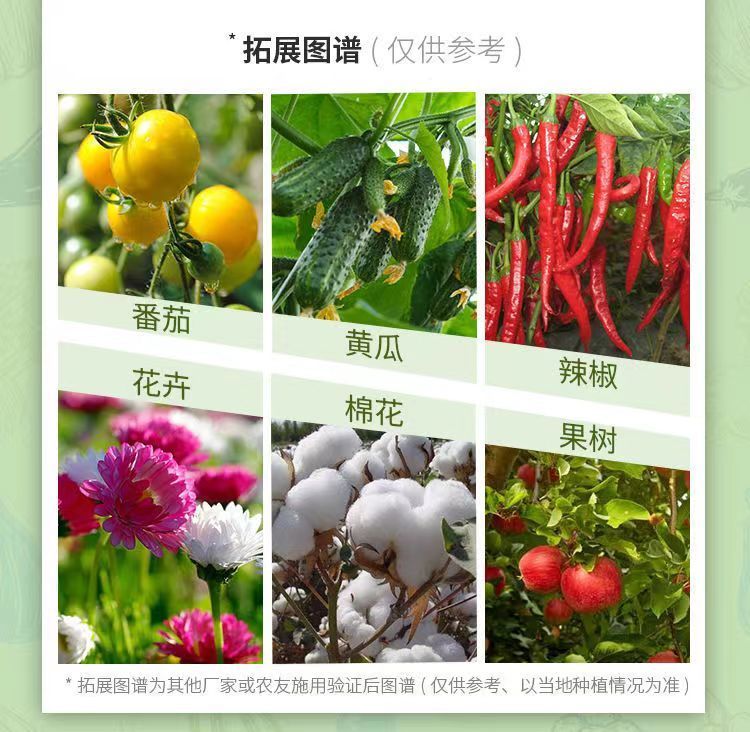 覽博啶蟲(chóng)脒40％桃樹(shù)西瓜黃蚜蟲(chóng)小麥蚜蟲(chóng)稻飛虱高效殺蟲(chóng)劑