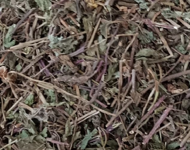 内江薄荷
