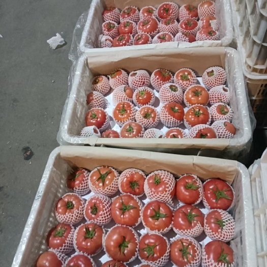 硬粉 普罗旺斯