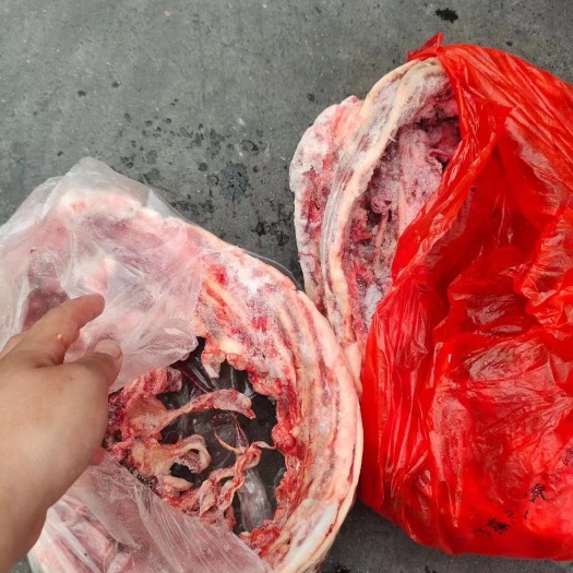 郑州驴小排