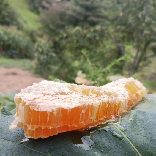 重庆市百花蜜