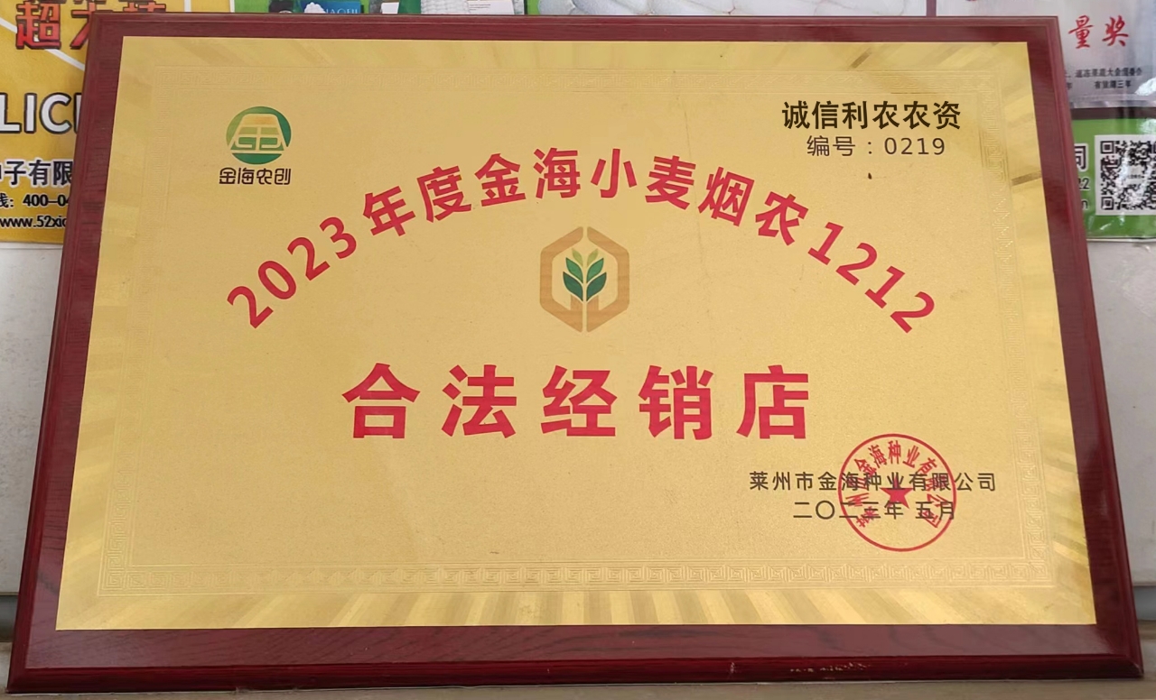 巨野县小麦种子  烟农1212，矮秆大穗，抗病抗倒，五抗一高。