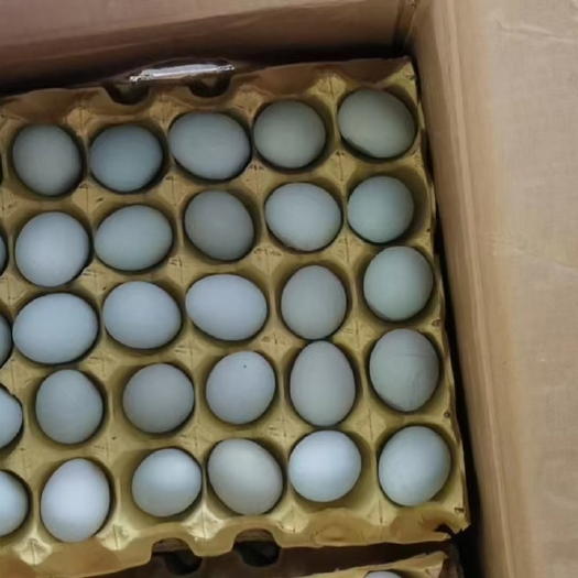 武汉绿壳蛋 净重33斤  360/箱 价格238