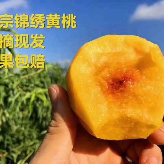 潜江市八月锦绣黄桃马上上市啦我家是合作社有上千亩桃园品相好甜蜜多汁