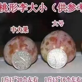 嵊州市美味桃形李