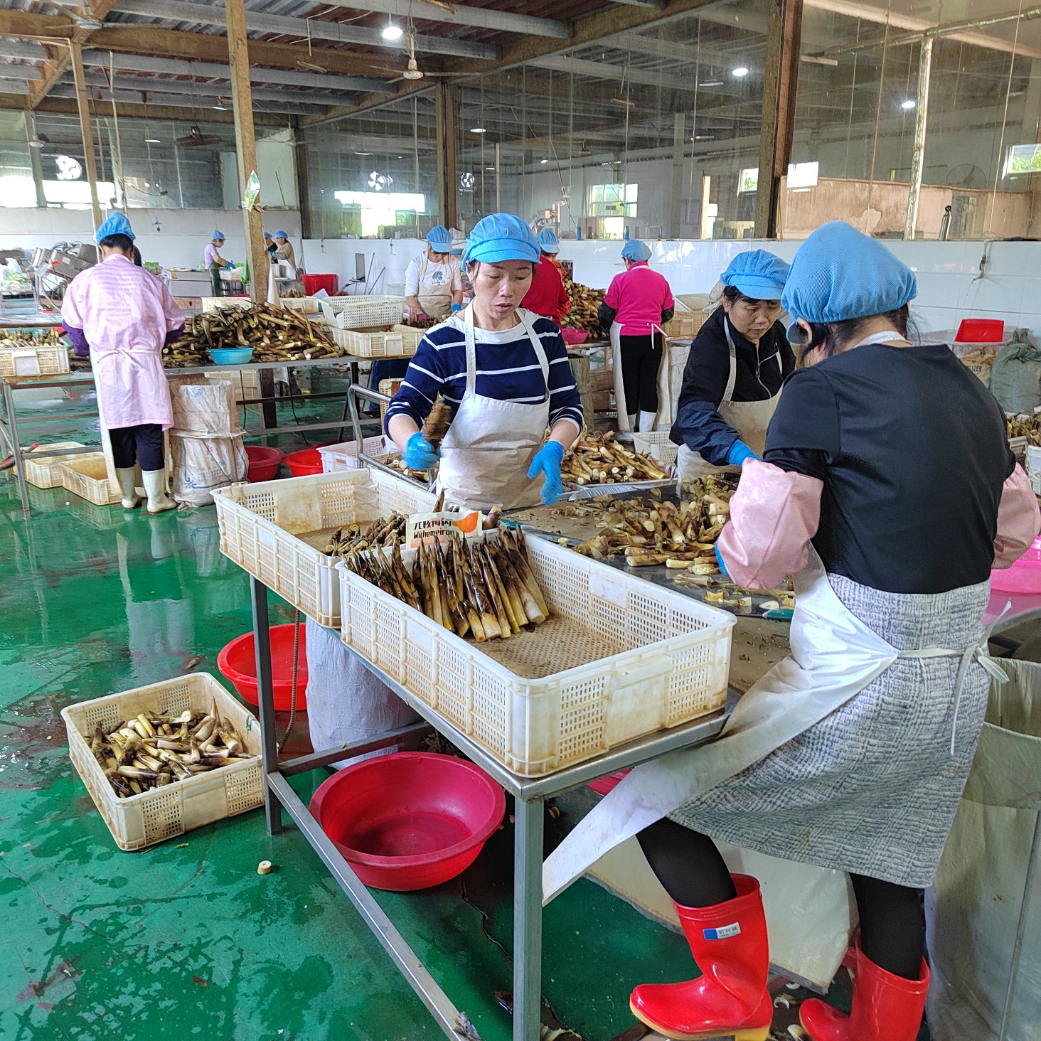 江西特产毛竹之乡宜黄水煮笋罐头散装桶装预制菜油焖笋原材料竹笋