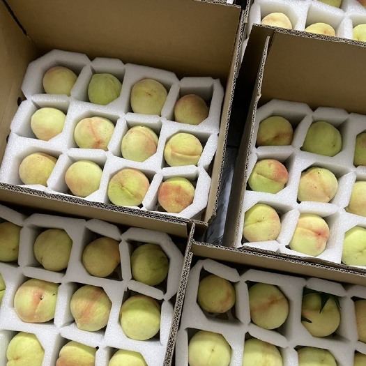 宁波现有大量奉化水蜜桃良方上市