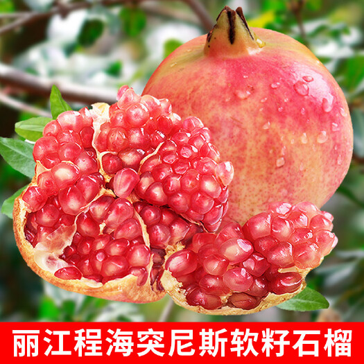 永胜县突尼斯软籽石榴