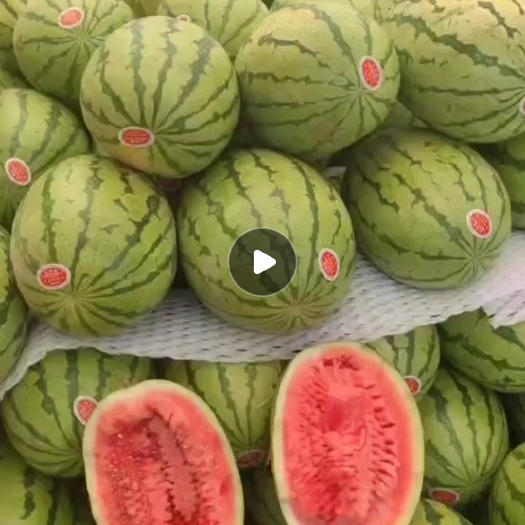 石头瓜
