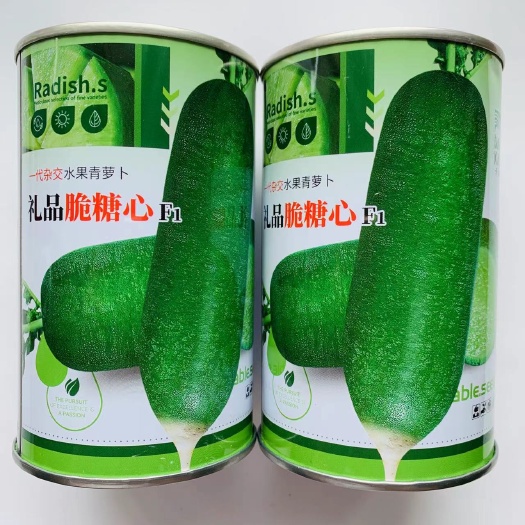 沭阳县礼品脆糖心水果萝卜种子皮薄肉细水分足糖分高脆爽多汁萝卜种子