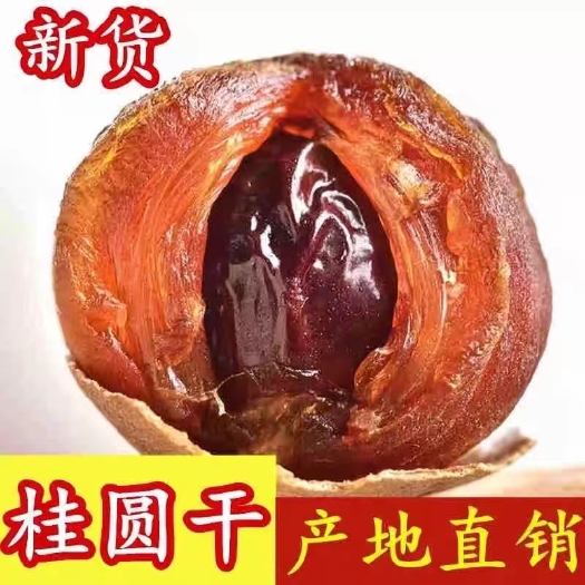仙游县特产桂圆干16a特级大级