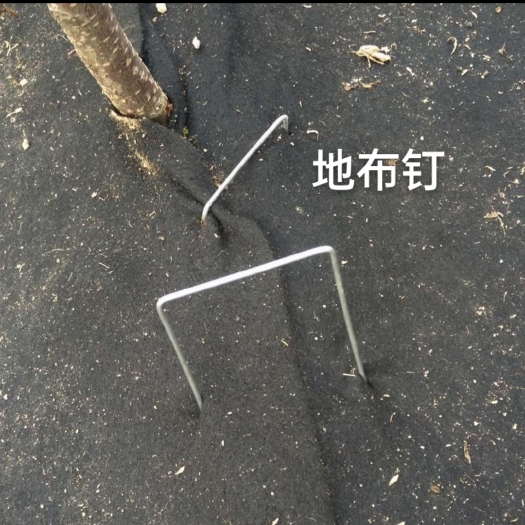衡水河北衡水优质大棚地钉耐用可靠适用于温室搭建加固设施农业装备