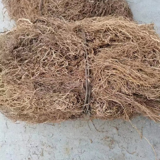 钟山县牛尾菜/马尾申根/大伸筋草/千层塔
