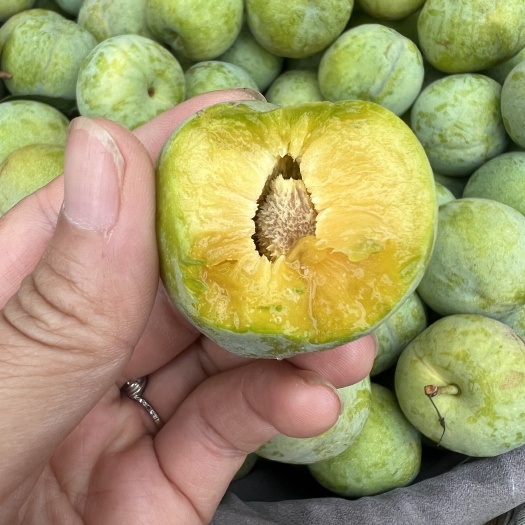 汉源县可以与蜂糖李媲美的青脆李，没有苦味脆甜，果肉细嫩皮也细腻