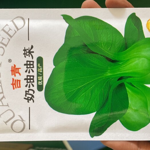 青梗奶油油菜种子