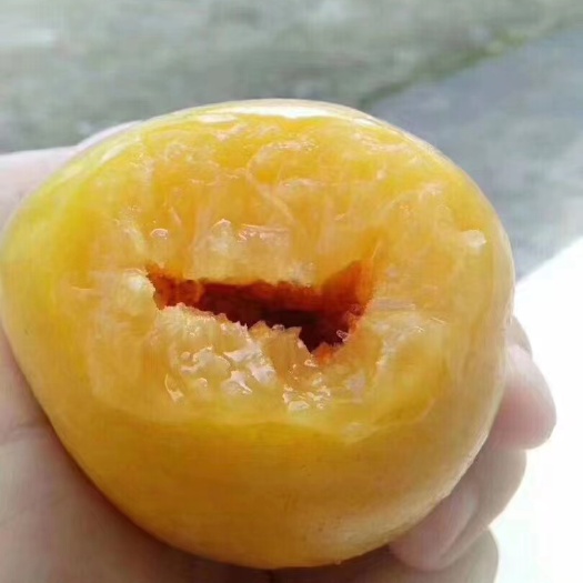 乐昌市广东乐昌九峰黄金奈李基地
