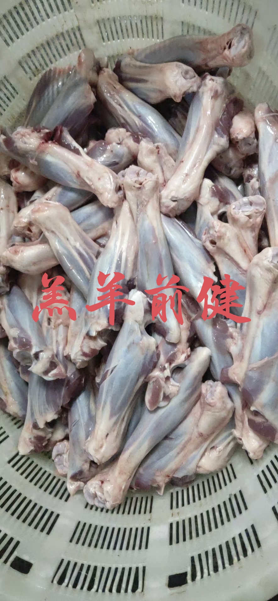 【羔羊前小腿】当地草原羊的新鲜质保！单个半斤左右！红焖炖绝了