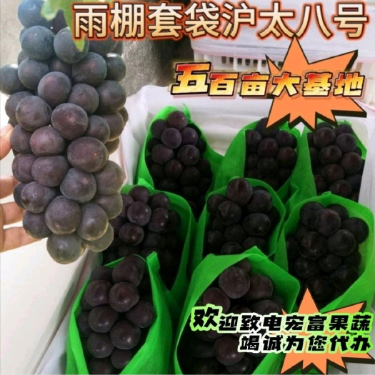 城固县夏黑葡萄  夏黑、巨峰《单串1.5斤起》5%以下