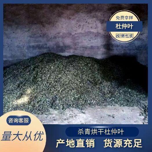 鄢陵县杜仲叶，药材专用 杀青烘干，无杂碎无杂质。