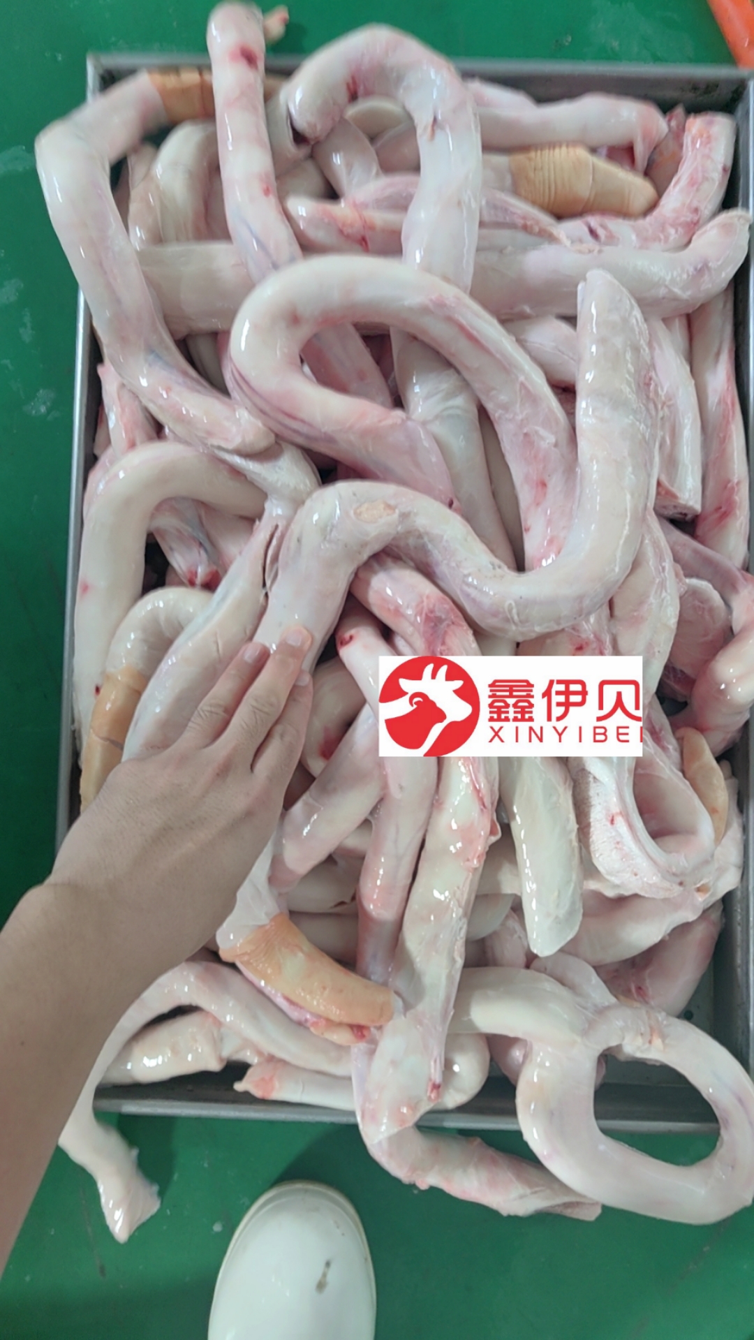 精修牛鞭 国产厂家直销一手货源证件齐全