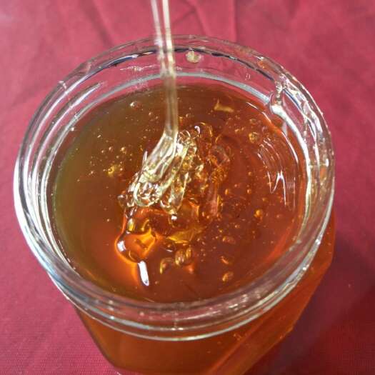 郑州自家养殖蜂蜜