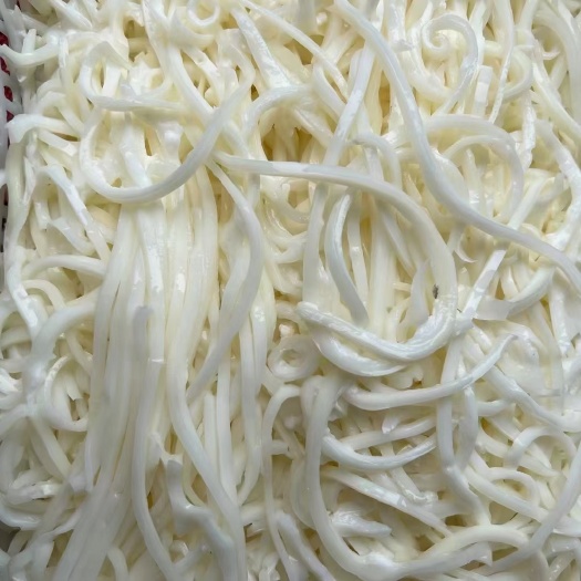 成都千丝黄喉