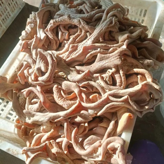 阳信县半成品牛肠，卷装盒装均有现货