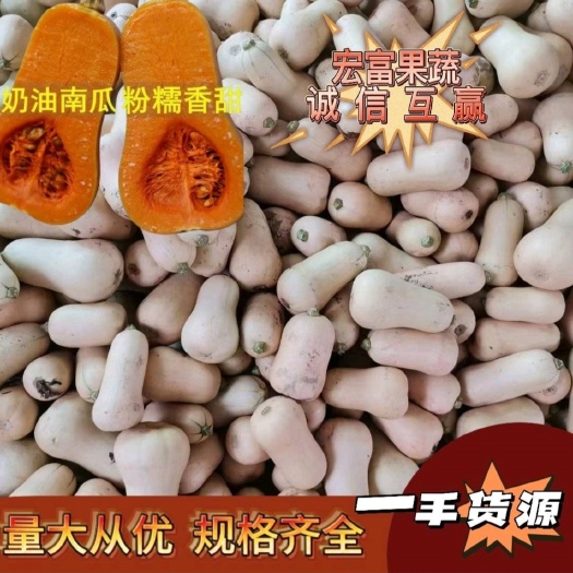 陕西城固县阿根廷奶油南瓜、王子奶油南瓜1～3斤《现货》
