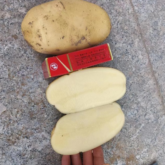 精品V7 沃土 希森纯沙地,地面货源,窖子冷库货源应有尽有