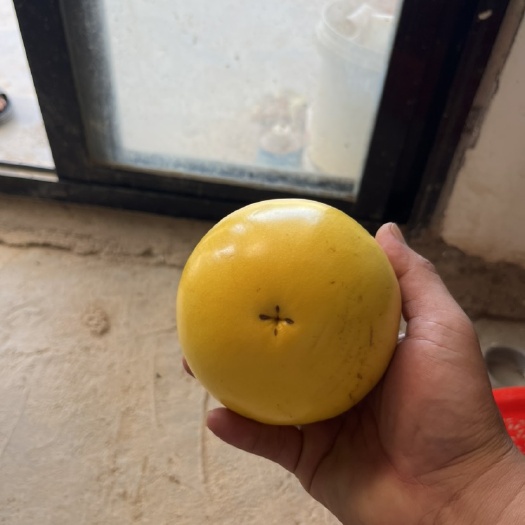 黄晶果